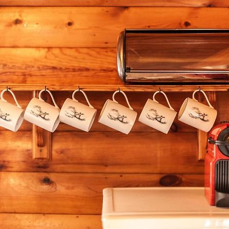 3 Bedroom Log Cabin In Snowdonia Nr Mtb Trails Tanygrisiau Eksteriør bilde