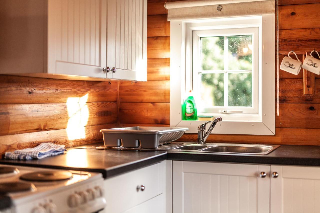 3 Bedroom Log Cabin In Snowdonia Nr Mtb Trails Tanygrisiau Eksteriør bilde