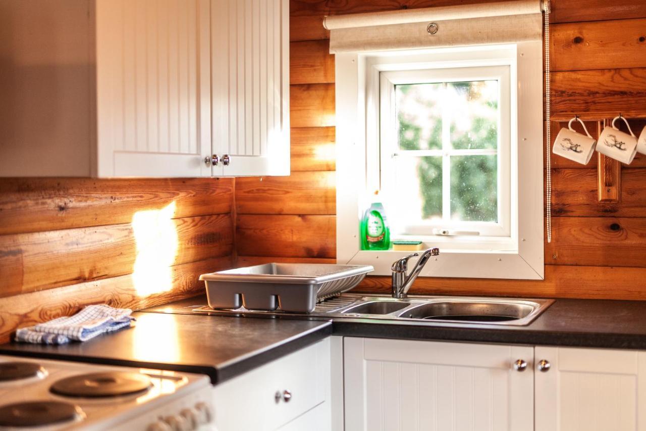 3 Bedroom Log Cabin In Snowdonia Nr Mtb Trails Tanygrisiau Eksteriør bilde