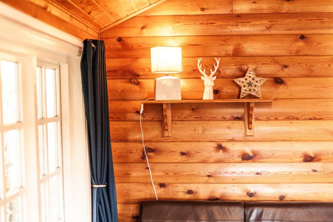 3 Bedroom Log Cabin In Snowdonia Nr Mtb Trails Tanygrisiau Eksteriør bilde